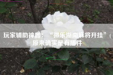 玩家辅助神器：“微乐湖南麻将开挂”(原来确实是有插件