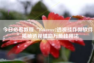 今日必看教程“Pokerrrr2透视挂作弊软件	”揭秘透视辅助万能挂用法