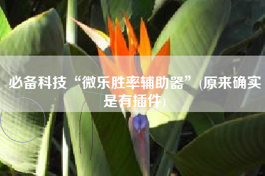 必备科技“微乐胜率辅助器	”(原来确实是有插件)