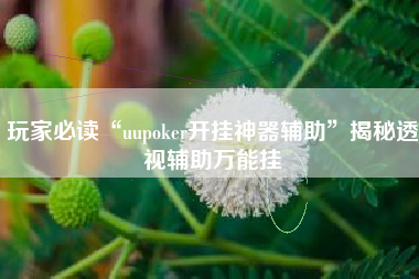 玩家必读“uupoker开挂神器辅助”揭秘透视辅助万能挂