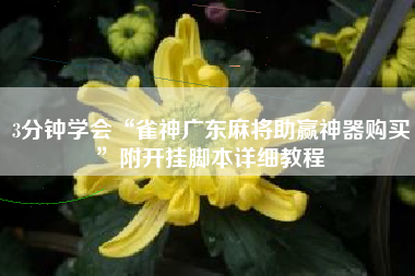 3分钟学会“雀神广东麻将助赢神器购买”附开挂脚本详细教程