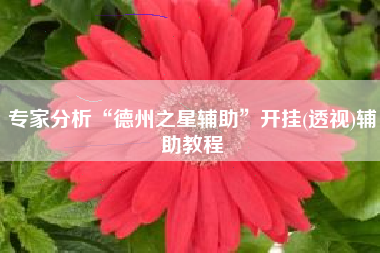 专家分析“德州之星辅助”开挂(透视)辅助教程