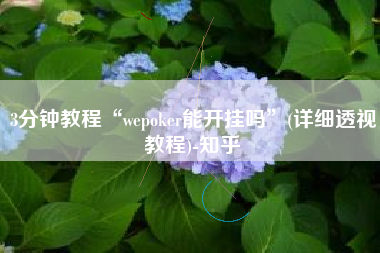 3分钟教程“wepoker能开挂吗”(详细透视教程)-知乎