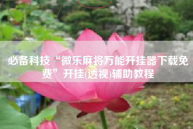 必备科技“微乐麻将万能开挂器下载免费”开挂(透视)辅助教程