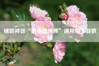 辅助神器“透视德州牌”通用版下载教程