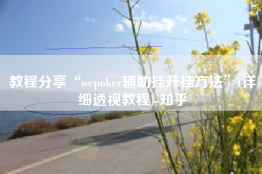 教程分享“wepoker辅助挂开挂方法	”(详细透视教程)-知乎