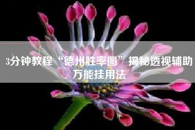 3分钟教程“德州胜率图”揭秘透视辅助万能挂用法