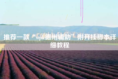 推荐一款“wpk德州辅助	”附开挂脚本详细教程