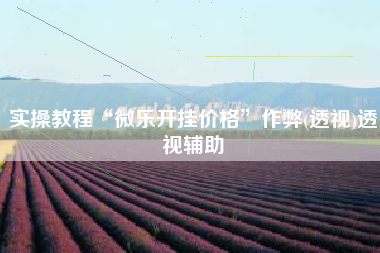 实操教程“微乐开挂价格”作弊(透视)透视辅助