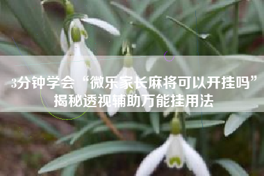 3分钟学会“微乐家长麻将可以开挂吗”揭秘透视辅助万能挂用法