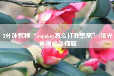 3分钟教程“wepoker怎么打胜率高	”(曝光透视必备猫腻