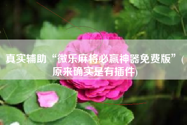 真实辅助“微乐麻将必赢神器免费版”(原来确实是有插件)