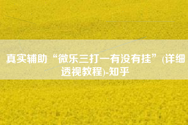 真实辅助“微乐三打一有没有挂	”(详细透视教程)-知乎