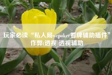 玩家必读“私人局wepoker看牌辅助插件”作弊(透视)透视辅助