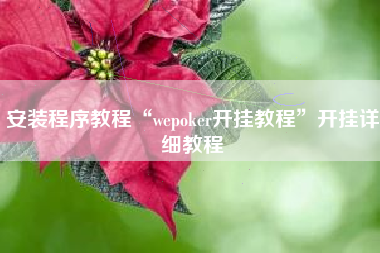 安装程序教程“wepoker开挂教程	”开挂详细教程