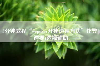 3分钟教程“wepoker开挂透视方法”作弊(透视)透视辅助