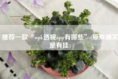 推荐一款“wpk透视app有哪些”(原来确实是有挂) 推荐一款“wpk透视app有哪些”(原来确实是有挂)