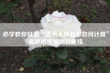 必学教你安装“德州手牌胜率如何计算	”揭秘透视辅助万能挂