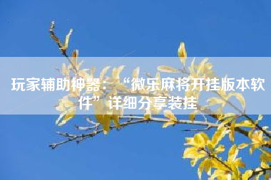 玩家辅助神器：“微乐麻将开挂版本软件”详细分享装挂