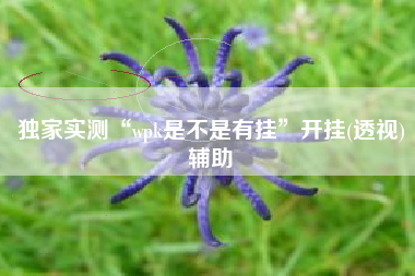 独家实测“wpk是不是有挂”开挂(透视)辅助