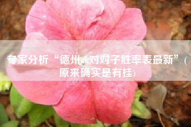 专家分析“德州ak对对子胜率表最新	”(原来确实是有挂)