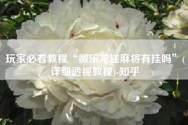 玩家必看教程“微乐龙江麻将有挂吗”(详细透视教程)-知乎
