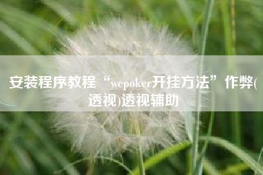 安装程序教程“wepoker开挂方法”作弊(透视)透视辅助