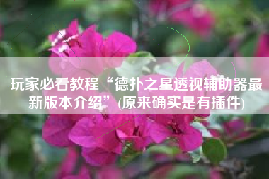 玩家必看教程“德扑之星透视辅助器最新版本介绍”(原来确实是有插件)