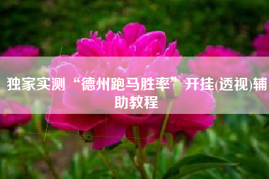 独家实测“德州跑马胜率”开挂(透视)辅助教程