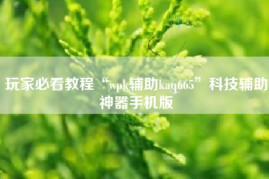 玩家必看教程“wpk辅助kaq665	”科技辅助神器手机版