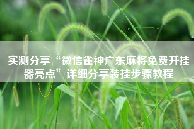 实测分享“微信雀神广东麻将免费开挂器亮点	”详细分享装挂步骤教程