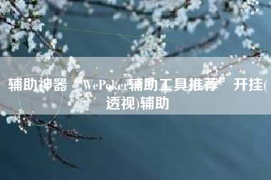 辅助神器“WePoker辅助工具推荐”开挂(透视)辅助