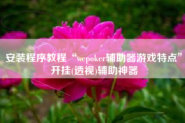 安装程序教程“wepoker辅助器游戏特点”开挂(透视)辅助神器