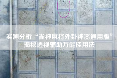 实测分析“雀神麻将外卦神器通用版”揭秘透视辅助万能挂用法