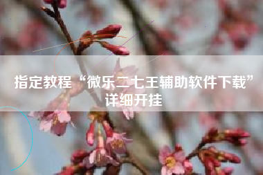 指定教程“微乐二七王辅助软件下载”详细开挂