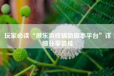 玩家必读“微乐游戏辅助脚本平台	”详细分享装挂