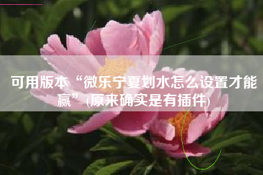 可用版本“微乐宁夏划水怎么设置才能赢”(原来确实是有插件)