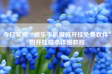 今日实测“微乐手机麻将开挂免费软件”附开挂脚本详细教程
