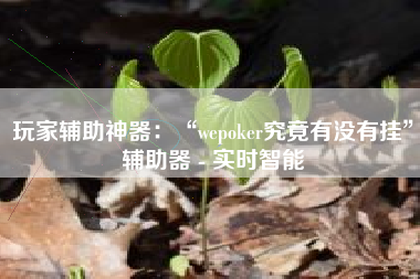 玩家辅助神器：“wepoker究竟有没有挂”辅助器 - 实时智能