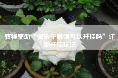 教程辅助“微乐干瞪眼可以开挂吗”详细开挂玩法