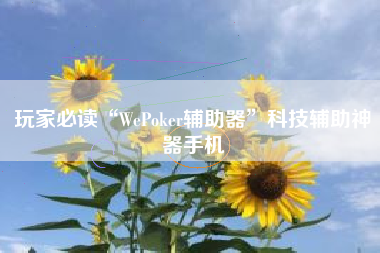 玩家必读“WePoker辅助器”科技辅助神器手机