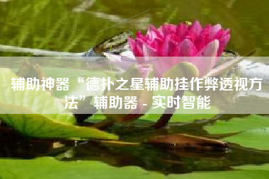 辅助神器“德扑之星辅助挂作弊透视方法”辅助器 - 实时智能