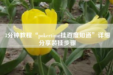 3分钟教程“pokertime挂百度知道”详细分享装挂步骤