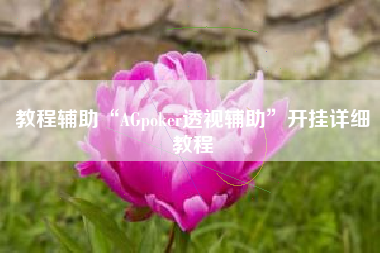 教程辅助“AGpoker透视辅助”开挂详细教程