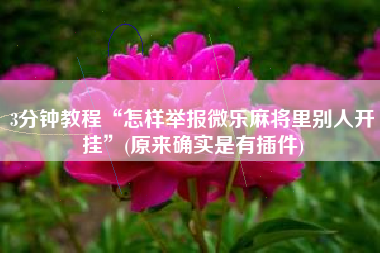 3分钟教程“怎样举报微乐麻将里别人开挂”(原来确实是有插件)