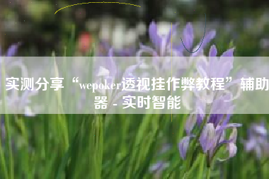 实测分享“wepoker透视挂作弊教程”辅助器 - 实时智能