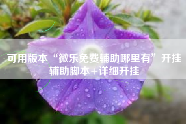 可用版本“微乐免费辅助哪里有	”开挂辅助脚本+详细开挂
