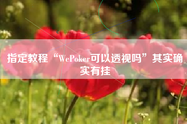 指定教程“WePoker可以透视吗”其实确实有挂