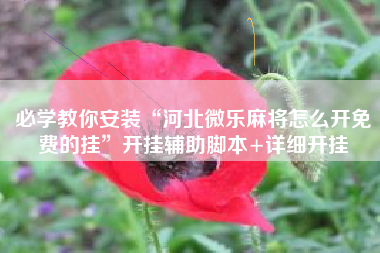 必学教你安装“河北微乐麻将怎么开免费的挂	”开挂辅助脚本+详细开挂