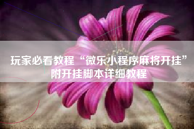 玩家必看教程“微乐小程序麻将开挂”附开挂脚本详细教程